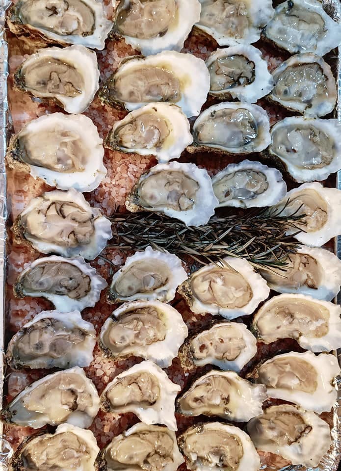 Oysters laid with thyme on top of pink himalayan salt
